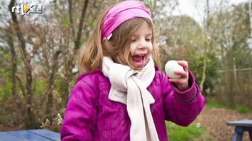 RTL Nieuws Op zoek naar paaseieren