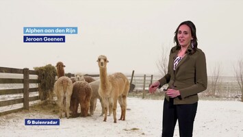 Rtl Weer - Laat