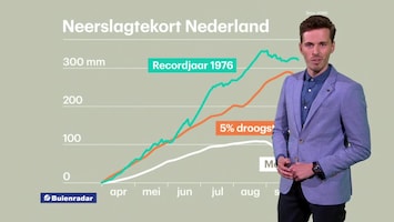 Rtl Weer - 19:55 Uur