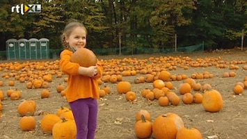 RTL Nieuws Pompoenencrisis in VS vlak voor Halloween