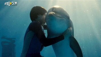 RTL Nieuws Film over dolfijn met prothese