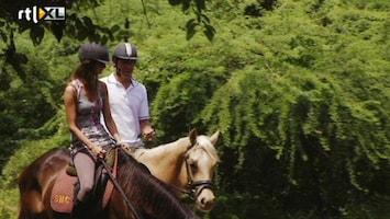 Bachelor, De De prins op het bruine paard