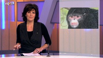 RTL Nieuws RTL Nieuws 16:00