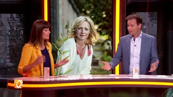 RTL Boulevard Afl. 190