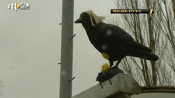 Voetbal International Er was weer op Hans gerekend