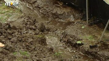 RTL Nieuws Regen en wind teisteren Nederland