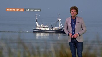 RTL Weer Laat