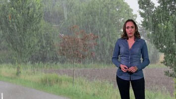 Rtl Weer - 19:55 Uur