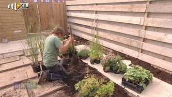 Eigen Huis & Tuin Beplantingsplan