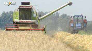 RTL Z Nieuws 2012 was goed jaar voor boeren
