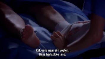 Grey's Anatomy - Good Mourning