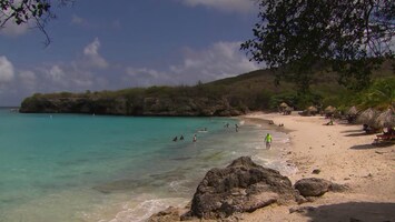 Pluijms Eetbare Wereld CuraÃ§ao