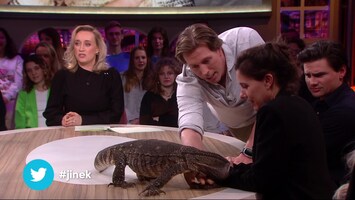 Varaan Johan creëert chaos aan tafel bij Jinek