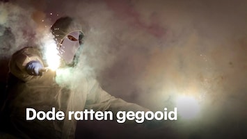 Rtl Nieuws - 19:30 Uur - 06:30 Uur