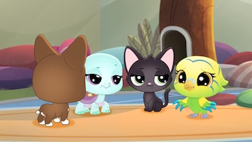 Littlest Pet Shop: A World Of Our Own - Afl. 6