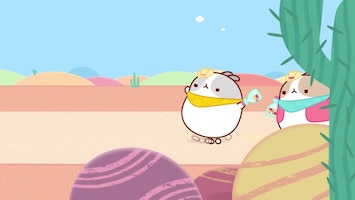 Molang - Afl. 42