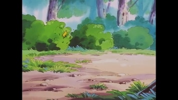 Pokémon Het afscheid van Pikachu