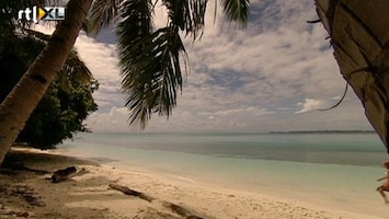 RTL Travel's Hotlist Zwemmen met kwallen in Palau
