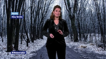 Rtl Weer - 19:55