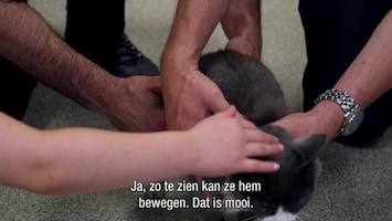 De Dierenkliniek Uk - Afl. 1