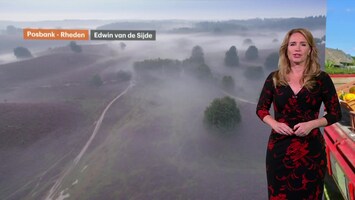 Rtl Weer - Laat