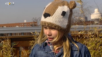 Green-kids De Groenste Klas van Nederland: basisschool 'De Hoeksteen'