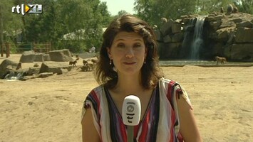 RTL Z Nieuws Hella Hueck' Lentetour: druk in de Beekse Bergen