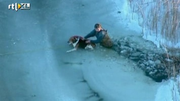 RTL Nieuws Hond van het ijs gered