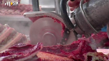 RTL Nieuws Onderzoeksraad moet vleessector ontleden