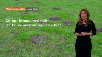 Rtl Weer - 19:55 Uur