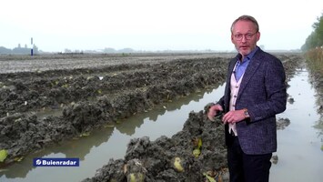 Rtl Weer - 19:55 Uur