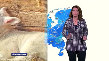 Rtl Weer - Laat