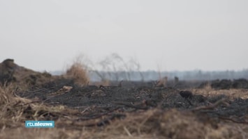 RTL Nieuws 19:30 uur