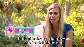 Echte Meisjes Op Zoek Naar Zichzelf Wat is er toch met Priscilla aan de hand?