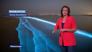 Rtl Weer - 19:55