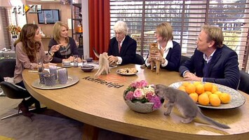 Koffietijd Dierenarts Martin