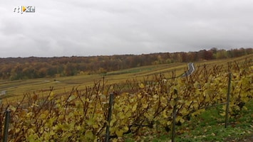 Wereldwijnen - Uitzending van 19-12-2010