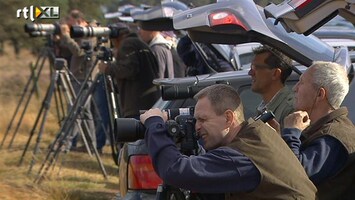 Editie NL Bronsttijd voor natuurpaparazzi