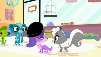 Littlest Pet Shop - Gevoelige Humor