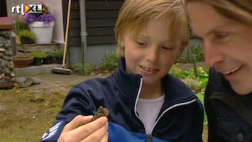 Green-kids Waarom zijn slakken zo langzaam: vraag van de dag