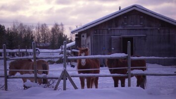 Pluijms Eetbare Wereld Lapland deel 1