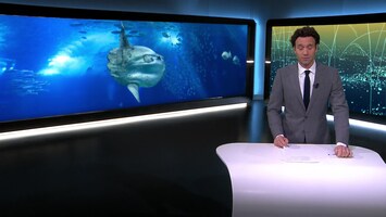 RTL Nieuws 18:00 uur