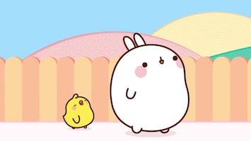 Molang - Afl. 42