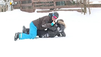 Oh Oh Tirol Skitip 2: Sterretje en Jokertje stunten met hun snowboard!