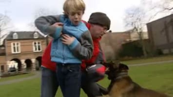 RTL Nieuws Hond als bodyguard voor het gezin