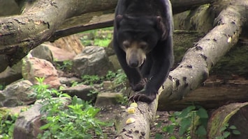 Burgers' Zoo Natuurlijk Afl. 7