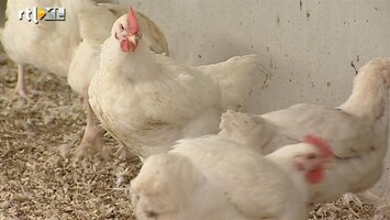 RTL Nieuws Waarschuwing voor gevaarlijke kip