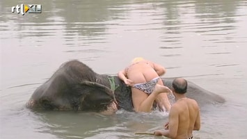Echte Meisjes Op Zoek Naar Zichzelf Bil- of Balansoefening op olifant?