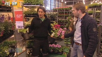 Eigen Huis & Tuin Tijd voor plantjes!