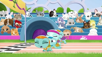 Littlest Pet Shop: A World Of Our Own Afl. 44